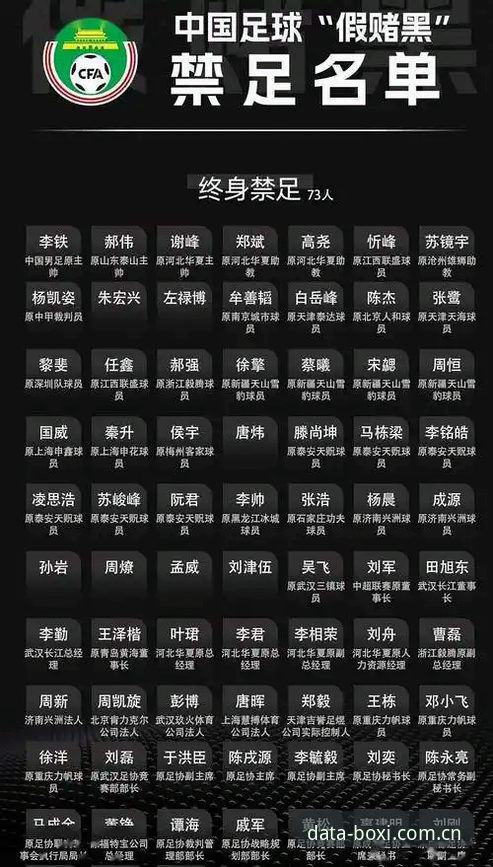 中国足球反腐风暴升级：博喜体育最新版解析第三批禁足名单与行业整治指南